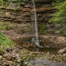 Hardraw Force