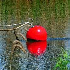 Buoy On The River Frome, Wareham