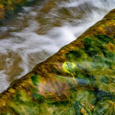 Yellow and Green Going Over The Edge