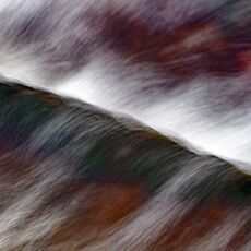 Overflow, No Leaves!