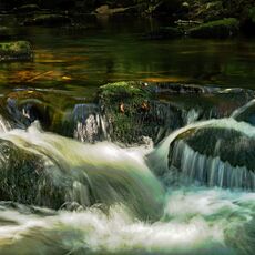 Golitha Falls