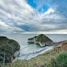Seals on the beach at Flamborough Head