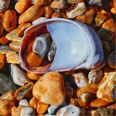 Pebbles Through A Shell