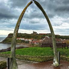 The Whitby Whalebone