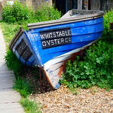 Whitstable Oyster Co.