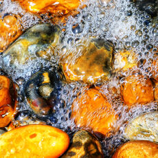 Tankerton Bay Pebbles