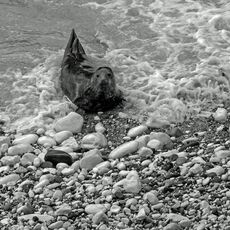 Are You Looking At Me