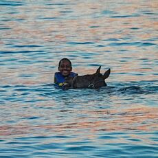 Horse and Handler in sea at Pebbles Beach