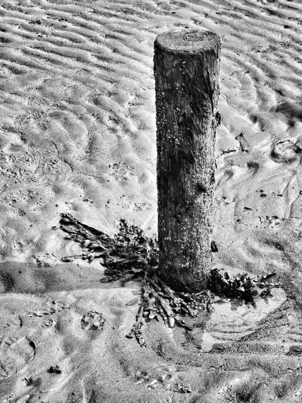 Beach Post, Brean Down