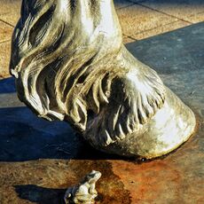 Big Horse, Small Frog