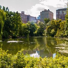 Central Park