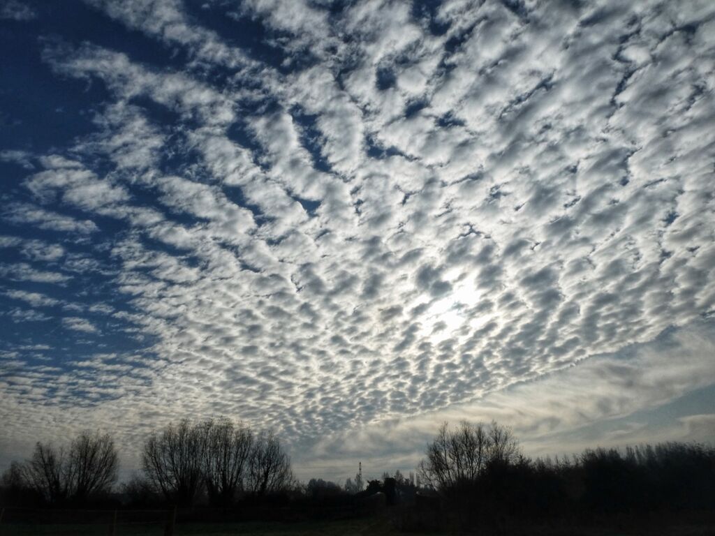 Mackerel Sky