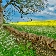 View Near to Condicote