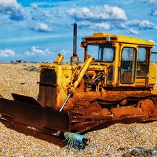 Caterpillar at Dungeness
