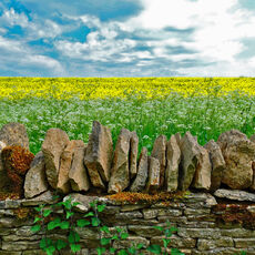 View Near to Condicote