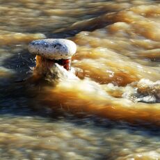 Flooded Mooring Bollard