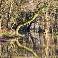 I Used To Be A Footpath 2