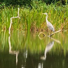 Heron at Farnborough