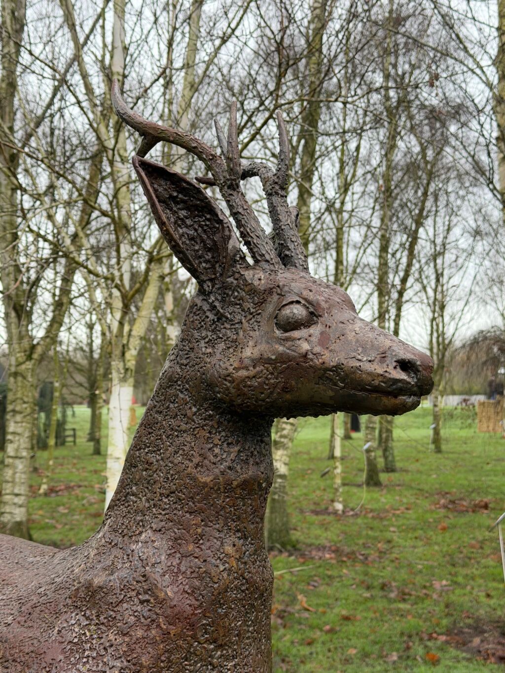 “Stag’s Head” close-up