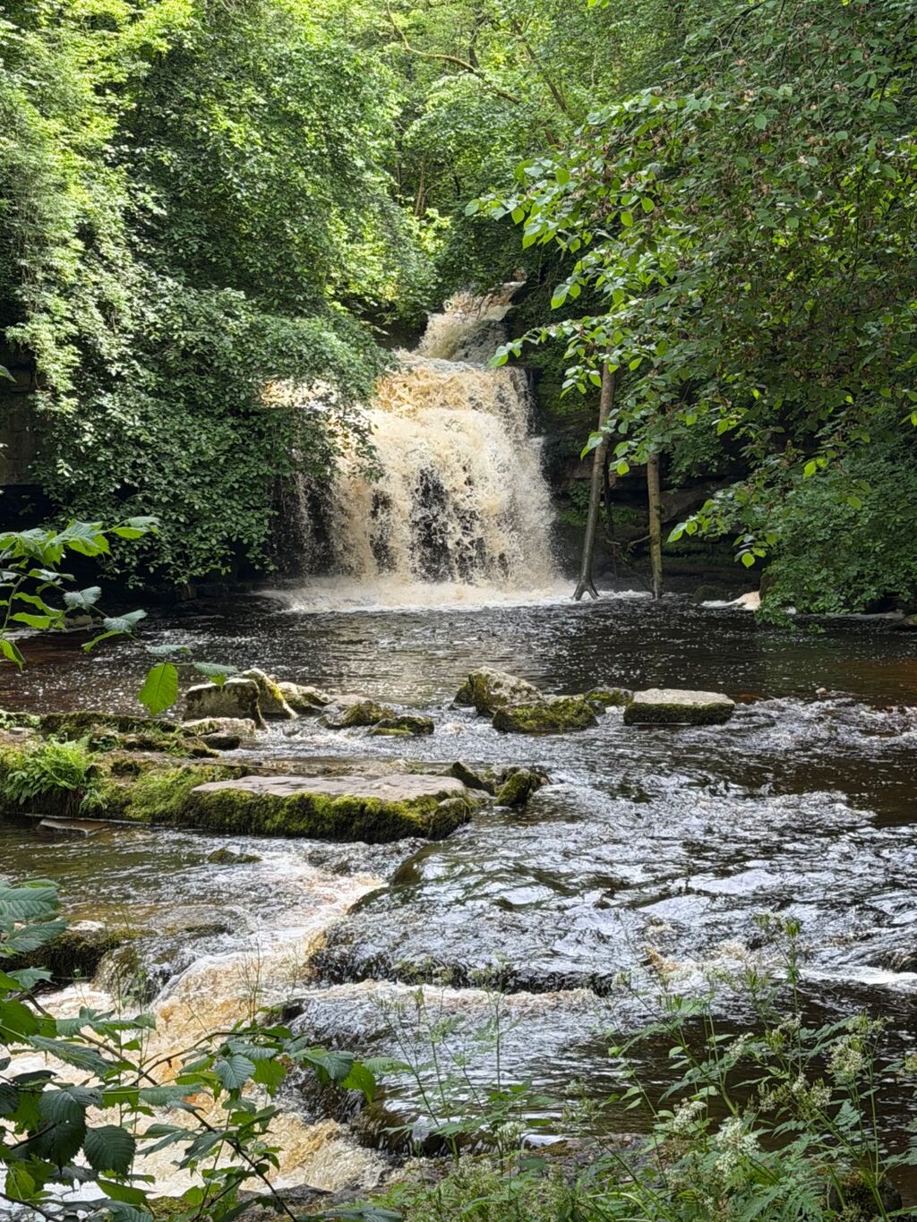 Cauldron Falls
