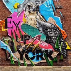 Street Art in York