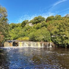 Wain Wath Force