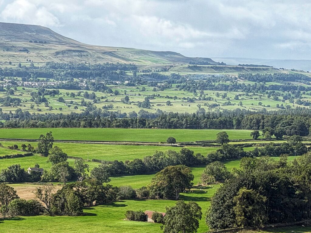 Wensleydale from The Shawl, Leyburn