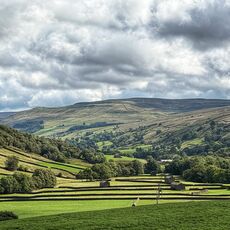 Swaledale Barns