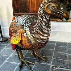 “Dodo”
