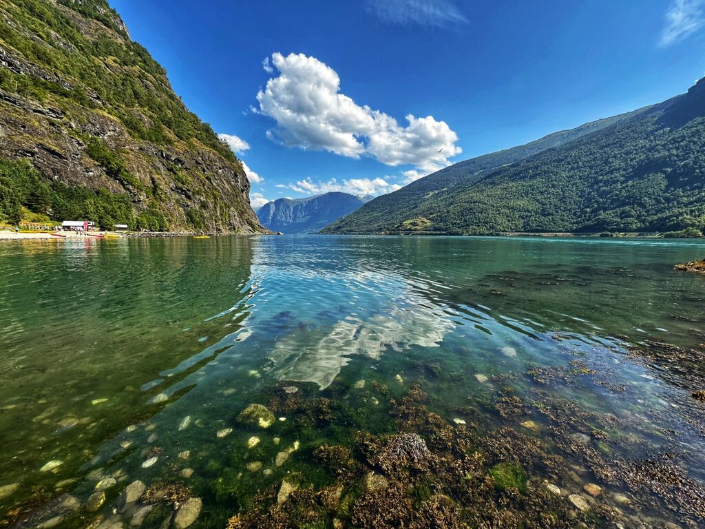 Flam
