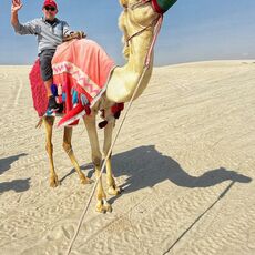 Camel Ride