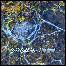 Ice Cold Heart