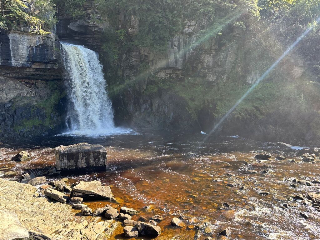Thornton Force