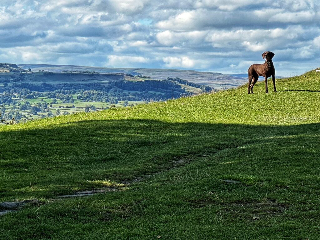 The Shawl, Leyburn