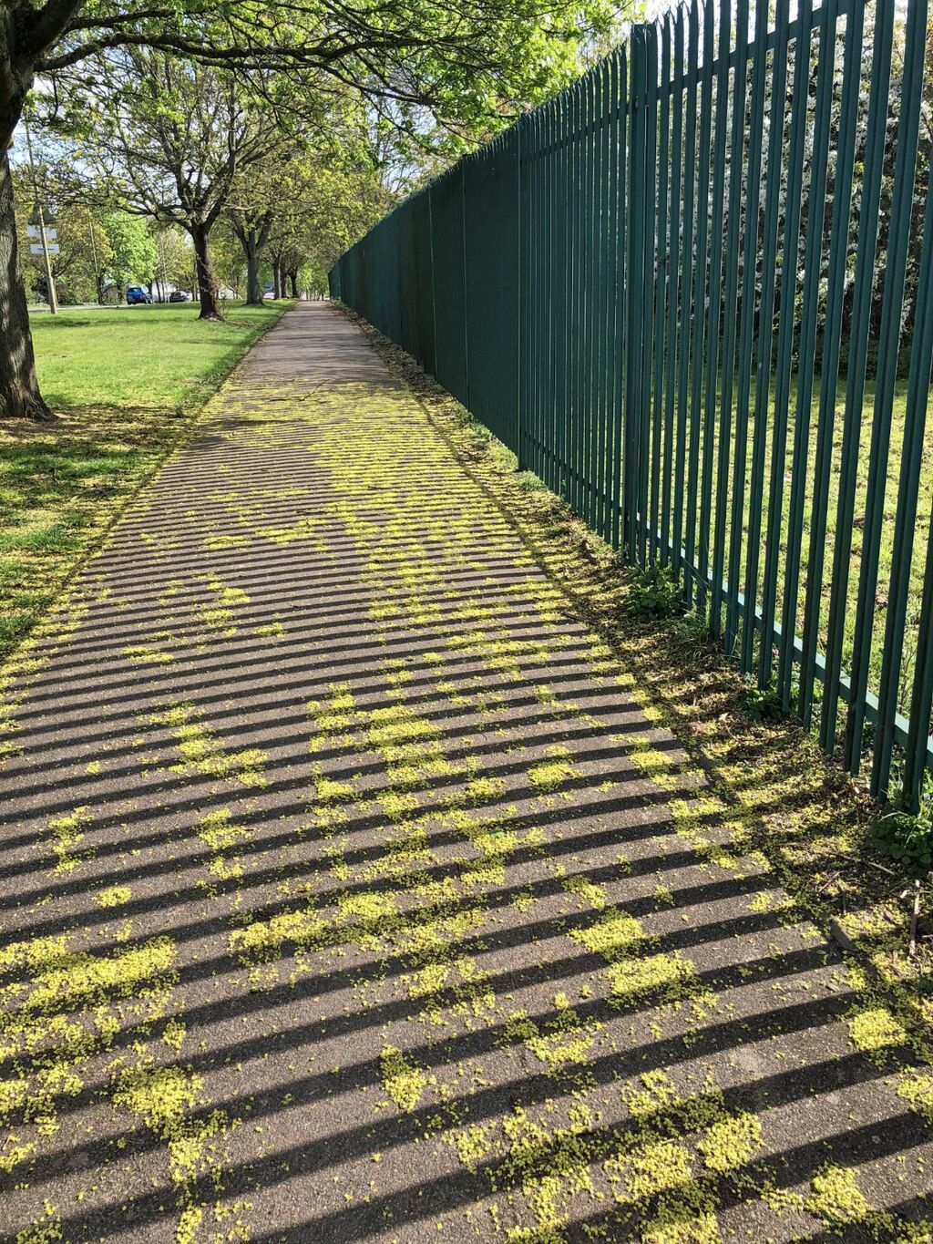 It's All Turning Green!
