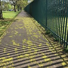 It's All Turning Green!