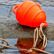 A Buoy, High and Dry. The Cobb, Lyme Regis
