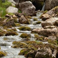 Mountain Stream in The Black Mountains