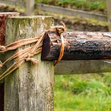 Old Fashioned Fence Repair