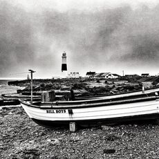 Portland Boats (Snapseed Edit)