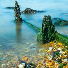 Sea Defences at Reculver