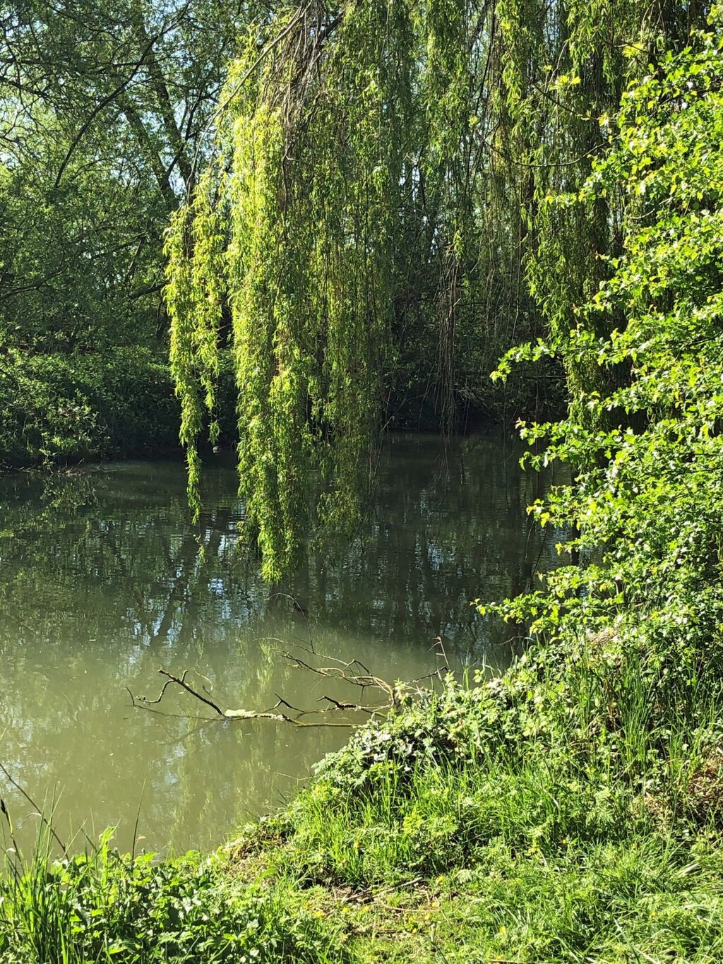River Cherwell 2