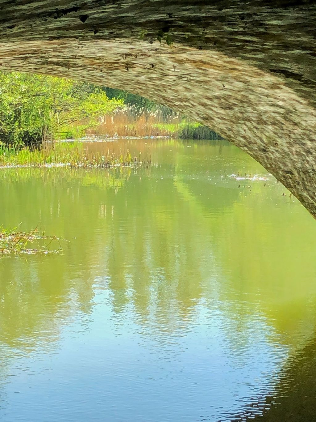 River Cherwell 1