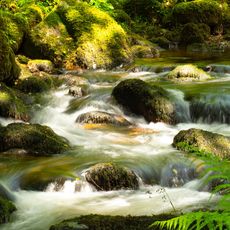 River Meavy at Shaugh Bridge