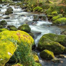 River Plym at Shaugh Bridge