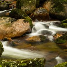 River Plym at Shaugh Bridge