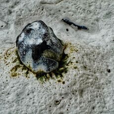 Rock In Chalk, Beachy Head