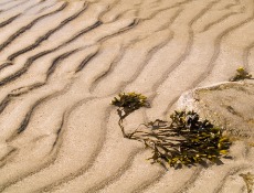 Miscellaneous Seascapes