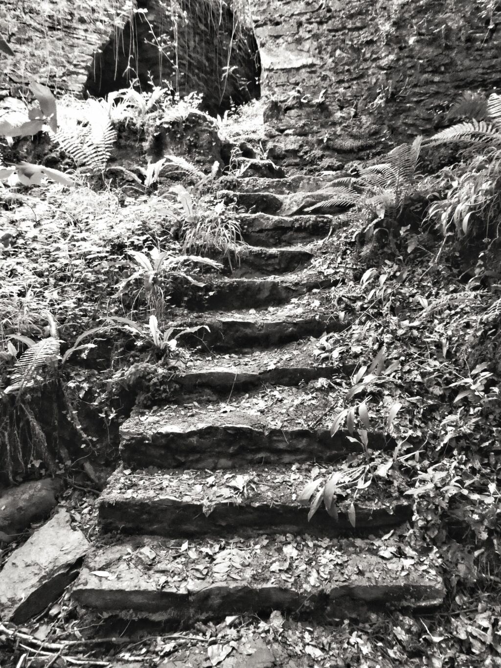 Steps to Nowhere, Watersmeet