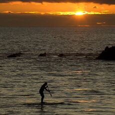 Sunset Paddleboarder, Challaborough Bay